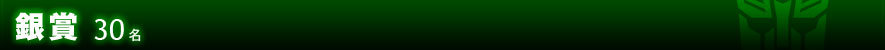 銀賞 30名