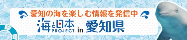 愛知の海を楽しむ情報を発信中　海と日本PROJECT in 愛知県