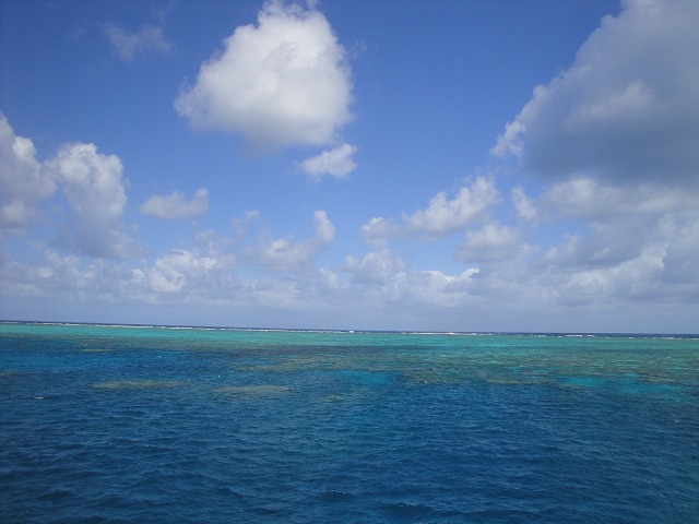 1142.jpg