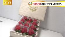 イチゴ3tva.jpg