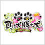 KOZY'S NIGHT 負け犬勝ち犬