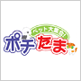 �y�b�g��W���I�|�`����